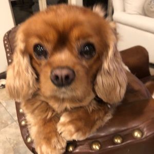 Meet your Posher, Deborah